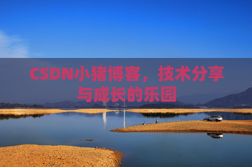 CSDN小猪博客，技术分享与成长的乐园